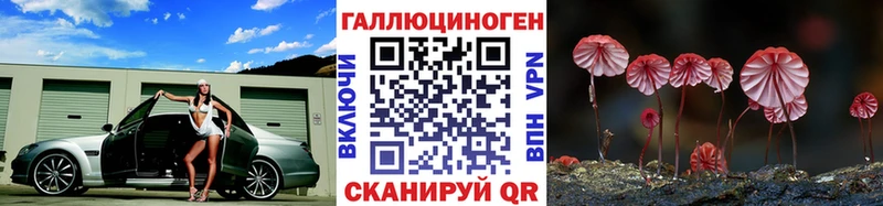 Псилоцибиновые грибы Magic Shrooms  Купить закладки  Струнино 